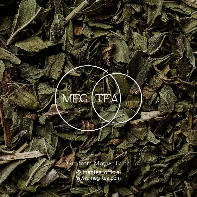 메그티 MEG TEA by studioSOYEON 포트폴리오 - 노트폴리오