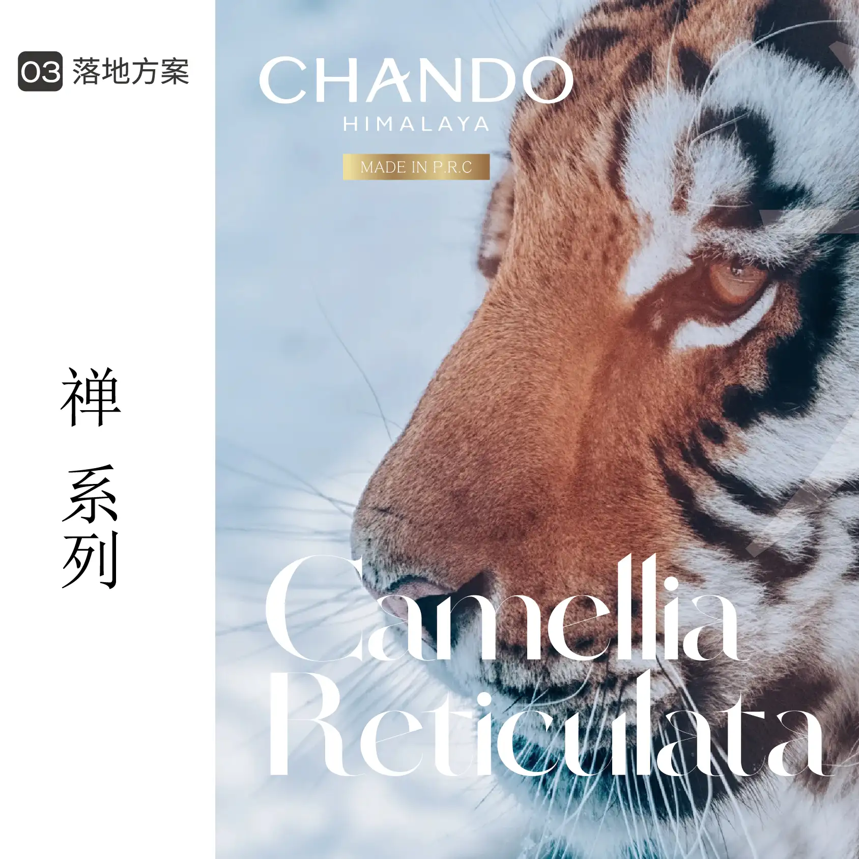 CHANDO x Ihotel project by Fuji Kaze 포트폴리오 - 노트폴리오